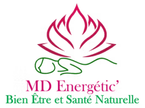 Logo de MD Energétic’