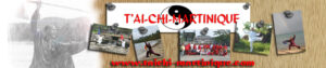 Logo de Tai-chi Martinique